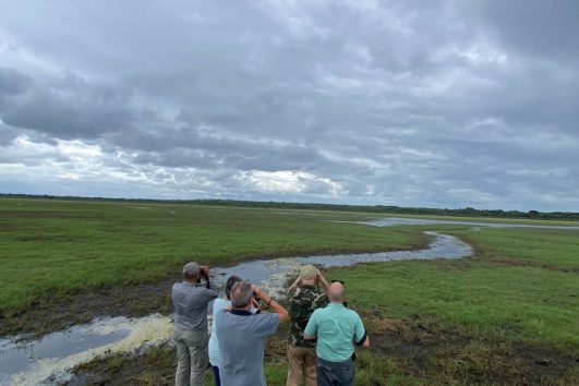 3-Day Northern Zululand Birding Tour